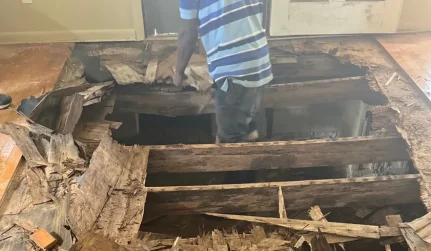 Hardwood Floor Repair and Restoration
